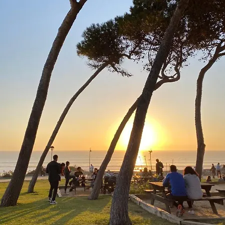 Conil *