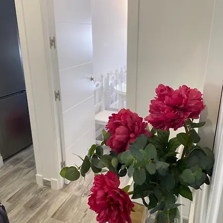 Conil Conil De La Frontera