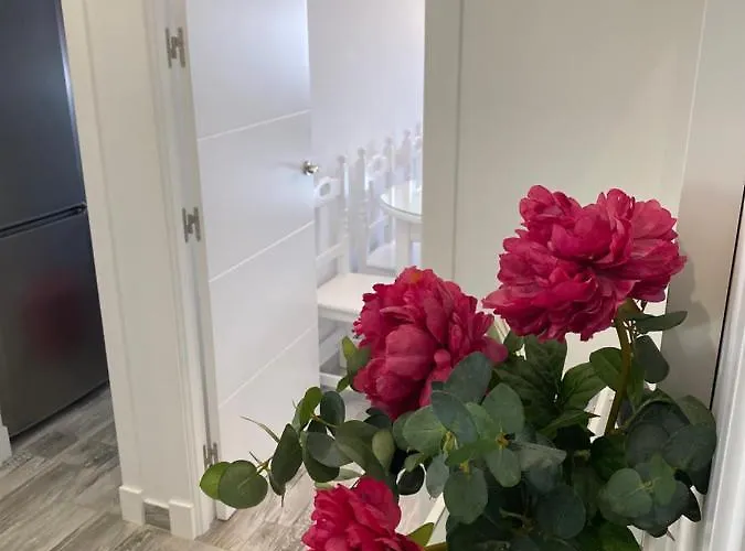 Conil Коніль-де-ла-Фронтера